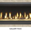 Fireplace X | 4415 High Output Deluxe Gallery Face