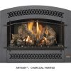 Fireplace X | 564 TRV 35K Artisan Charcoal Painted