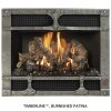 Fireplace X | 564 TRV 35K Timberline Burnished Patina