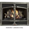 Fireplace X | 564 TRV Burnished Patina