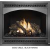 Fireplace X | 864 TRV 31K Basic Grills Black Painted